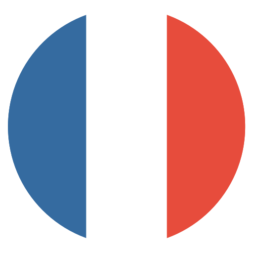 Language Switcher - French Flag